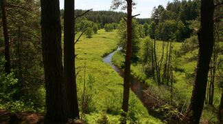 The countryside of Lithuania.