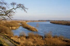 The Bug River in eastern Poland.