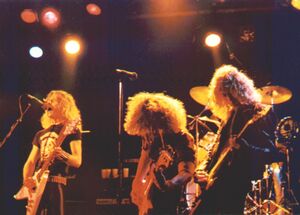 Damage Inc live 82.jpg