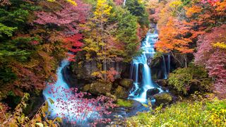 The forests of north-western Makaigan in autumn.