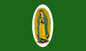 Flag of Guadalupe Province.svg