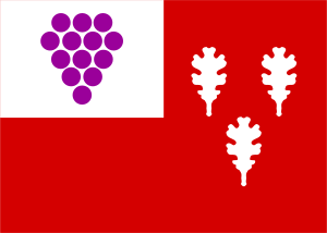 Flag of Connecticut (U.C.).svg