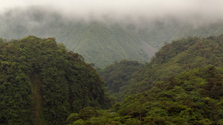 The montane rainforests of the Korati Mountains in the southern Korat.