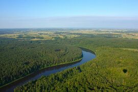 The Nemunas River in Alytus-Podlachia.